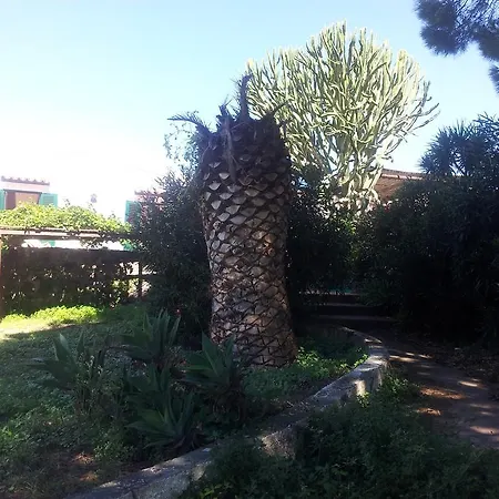 Basirico * Vulcano
