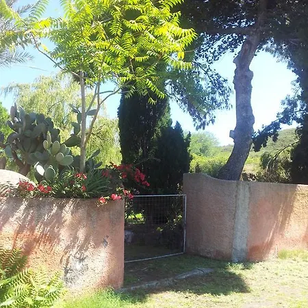Basirico Vulcano (Isola)